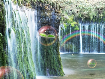滝と虹とシャボン